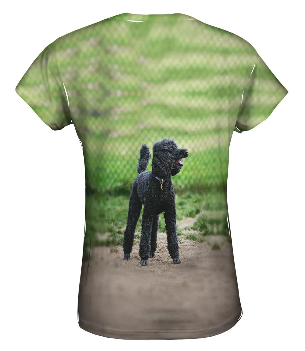 Hurrican Wind Poodle